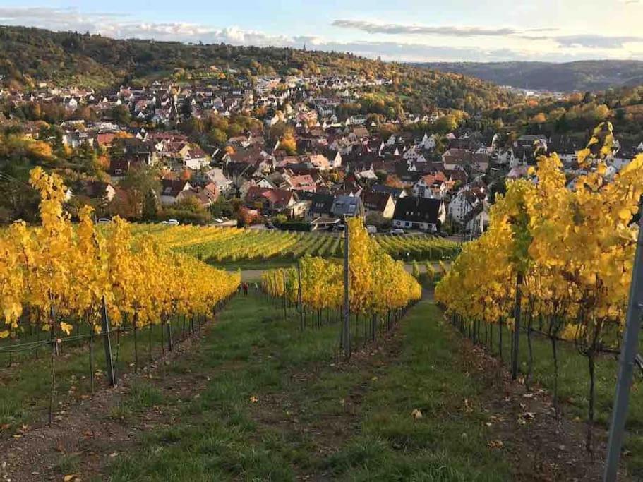 3 Zimmer Neubauwohnung In Der Schwaebischen Toskana Löwenstein Екстериор снимка